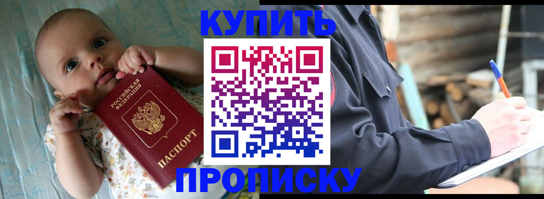 прописка поиск в Заинске